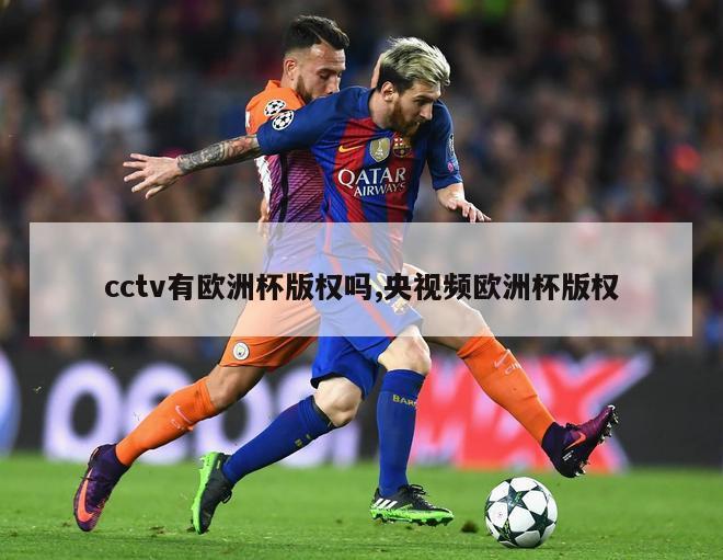 cctv有欧洲杯版权吗,央视频欧洲杯版权