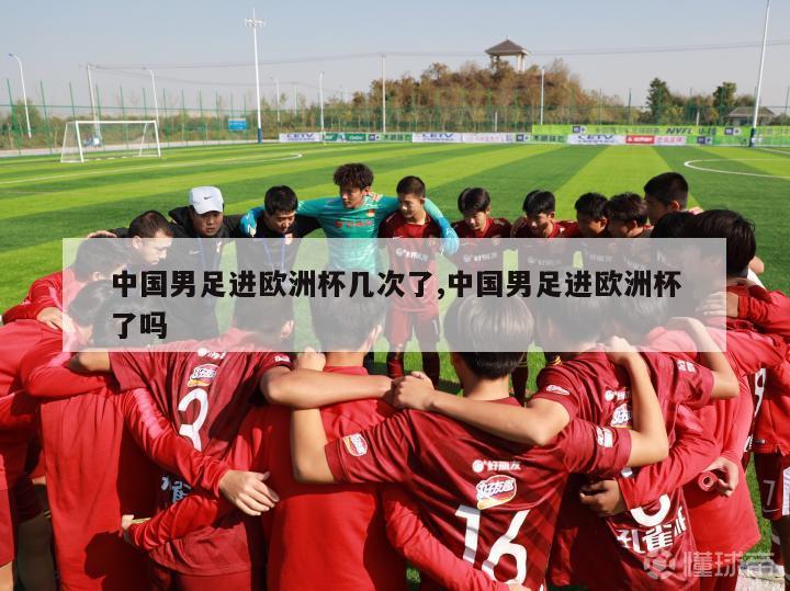 中国男足进欧洲杯几次了,中国男足进欧洲杯了吗